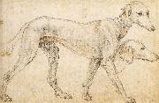 Studies of a Greyhound ZUCCARO Federico